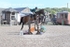 BPP_2145