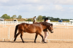 SBM_10961