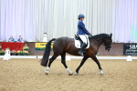 SBM_000817