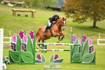 6YO Final Jump off portfolio