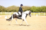 SBM_007855