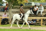 SBM_69916