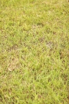 SBM_06011
