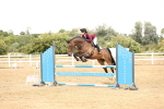 SBM_023785