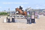 BPP_4667