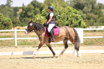 SBM_003973