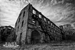 Portfolio 3