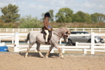 SBM_23196