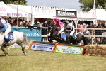 SBM_16613