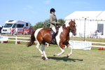 3E7A6366