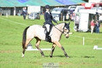 664-TEMPLEMORE.WILD.ONE-Bella.Stevens-DR portfolio
