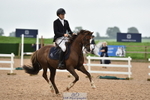 230902A-113900-00784_Cls 2B Pony Small 80cm