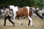 WJ6_8156