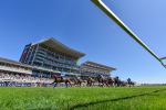 Race 2 2.45pm William Hill Summer Stakes portfolio