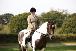 S65 - Piebald & Skewbald Horse Ridden portfolio