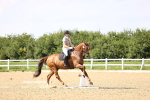 SBM_002803