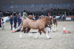 SBM_006190