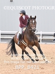 BPP_8421