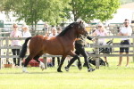 SBM_02101