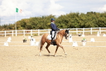 SBM_004305