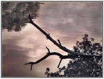 Fade_Away