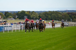 Race 3 3.18pm Napoleons Casino And Restaurant Hull EBF Fillies' Novice Stakes portfolio
