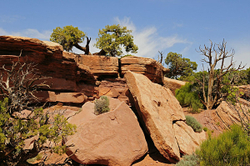 Canyonlands-2011 portfolio