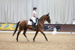 SBM_000951