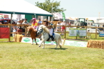 SBM_16923