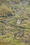Peris Horseshoe-55