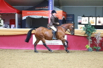 SBM_06410