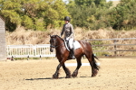 SBM_001493