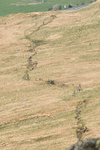 Helvellyn-3