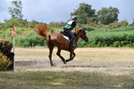 WJ5_1796