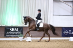 SBM_008995