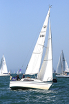 190629 PIED PIPER GBR2846L 1Y3A0317