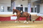 SBM_20217