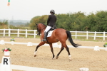 SBM_009313