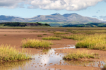Askam Sands (2)