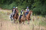 WJ6_2319