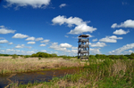 Aardla polder, Estonia