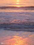 Sunset tide_GS653