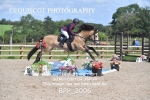 BPP_2006