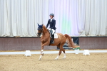 SBM_002740