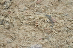 230514A-163043-03603