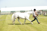 SBM_01722