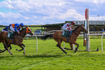 Race 6 5.00pm Racing Again 21st May Fillies' Handicap portfolio