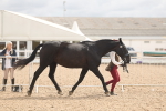 SBM_04922