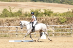 SBM_003510