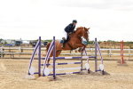 SBM_006048